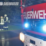 Holzhaufen Neukirch 4
