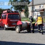 Schmerlitz7