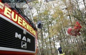 Großdrebnitz: Paragleiter in Wald abgestürzt