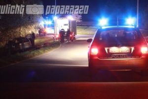 Tier verursacht Unfall