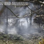 Laube und Bahndamm brennen in Radeberg
