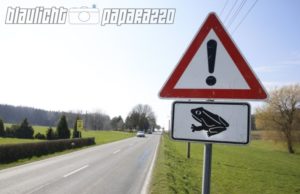 Ostsachsen: Vorsicht vor wandernden Amphibien