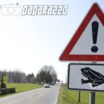 kroetenwanderung