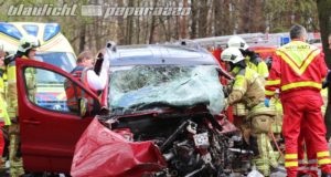 Langebrück: Citroen prallt mit voller Wucht gegen Baum