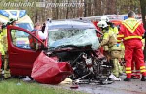 Langebrück: Citroen prallt mit voller Wucht gegen Baum