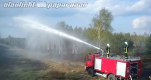 Königsbrück: Waldbrände beschäftigen die Feuerwehr