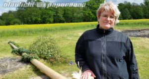Döbra: Unbekannte machen sich an Maibaum zu schaffen