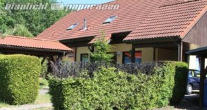 Radeberg: Hecke geht in Flammen auf