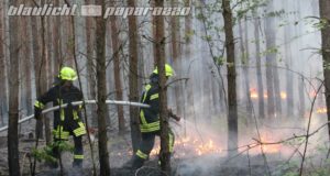 Kamenz: Waldbrände beschäftigen die Feuerwehr