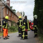 Kleinröhrsdorf: Störche lösen Feuerwehreinsatz aus