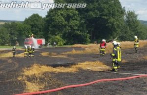 Koitzsch: Getreidefeld gerät bei Mäharbeiten in Brand