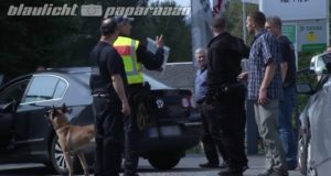 Pulsnitz: Verfolgungsjagd – Polizei jagt Aschenputtel