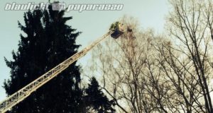 Neusalza-Spremberg: Großeinsatz nach "UFO"-Bruchlandung