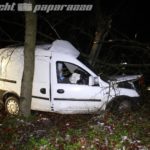 Zeißholz: Kleintransporter kracht gegen Baum