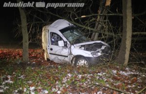 Zeißholz: Kleintransporter kracht gegen Baum