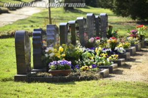 _DSC6397(1)