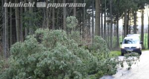 Gersdorf: Baum landet nach Sturm auf Straße