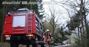 Hennersdorf: Bäume knicken reihenweise um