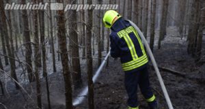 Torno: Zwei Hektar Wald brennen am Freitag Morgen