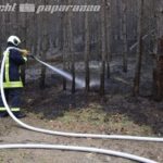 Zwei Hektar Wald brennen bei Leippe-Torno