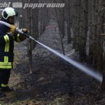 Zwei Hektar Wald brennen bei Leippe-Torno