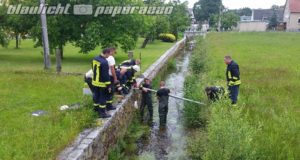 Bischheim: Feuerwehreinsatz wegen Ölfilm auf Haselbach