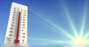 Ostsachsen: Warnung vor Hitze und Waldbrandgefahr