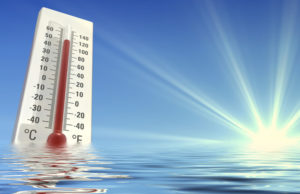 Ostsachsen: Warnung vor Hitze und Waldbrandgefahr