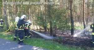 Oberlichtenau: 200 Quadratmeter Wald in Flammen