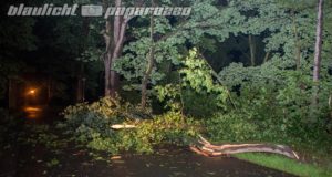 Wärmegewitter sorgt im Kreis Görlitz für Schäden