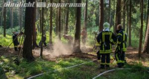 Radeberg: Waldbrand beschäftigt die Feuerwehr