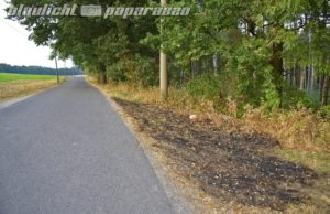 Mittelbach: Wieder Wiese angezündet – Anwohner halten jetzt Wache