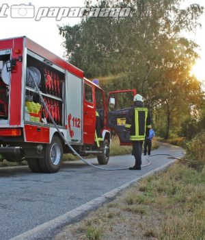 Feuerwehr bekämpft Feldbrand bei Techritz