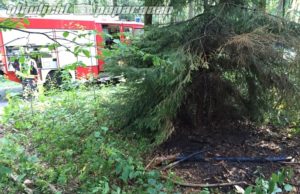 Oberlichtenau: Polizisten löschen Waldbrand