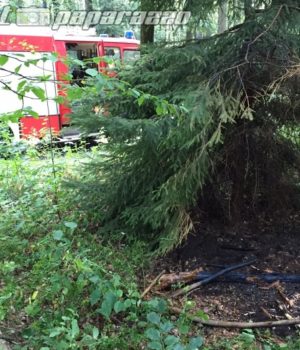 Polizisten löschen Waldbrand in letzter Sekunde