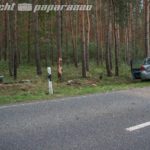 Auto kracht in Baumgruppe