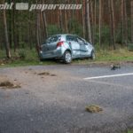 Auto kracht in Baumgruppe