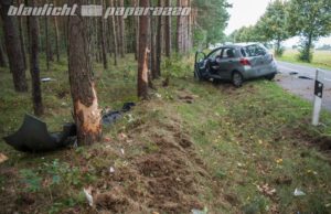 Toyota kracht in Baumgruppe – Fahrerin verletzt