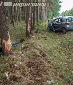 Auto kracht in Baumgruppe