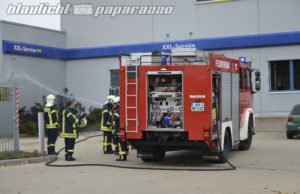 Unkrautvernichtung geht schief – Büsche fackeln ab