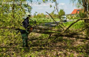 Umgestürzte Bäume beschäftigen die Feuerwehr