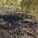 Feuerwehr Singwitz lud zum Tag der offenen Tür