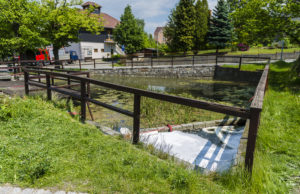 Flüssigkeit im Teich: ABC-Einsatz in Schwarznaußlitz
