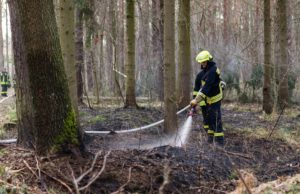 Schon drei Waldbrände im Kamenzer Forst