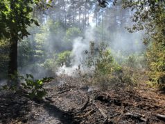 Illegales Lagerfeuer führte zu Waldbrand
