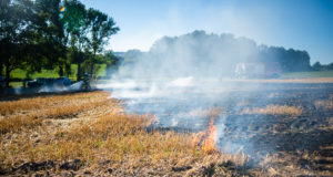 Achtung: Akute Gefahr vor Vegetationsbränden!
