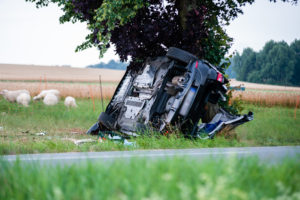 2018-07-11_VKU_Steina-13