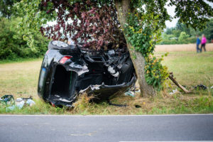 2018-07-11_VKU_Steina-15