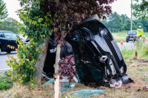 2018-07-11_VKU_Steina-4