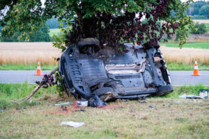 2018-07-11_VKU_Steina-6